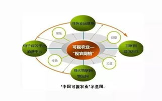 會(huì)呼吸的可視田 探秘互聯(lián)網(wǎng)賦能的生態(tài)農(nóng)業(yè)新價(jià)值鏈